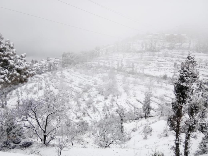 Others 5, Vamoose Pahadi Ghar, Tehri Garhwal