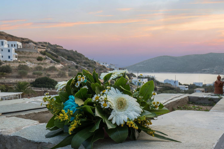 Others 5, Prasini Gonia, South Aegean