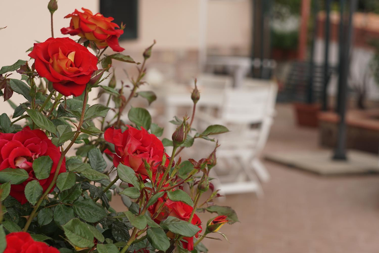 Others 4, Residence San Salvatore, Salerno
