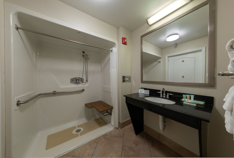 Bathroom 5, Galleria Palms Hotel, Osceola