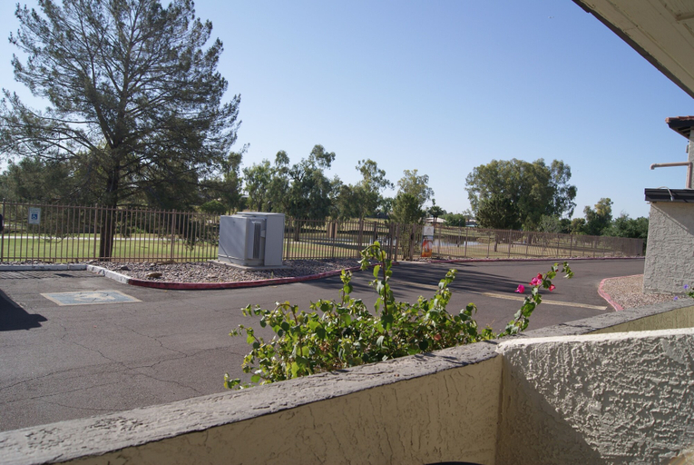 Property grounds 5, 132 Fully Furnished, amenities galore! by RedAwning, Maricopa