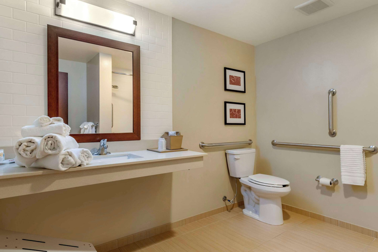 Bathroom 4, Comfort Suites Manheim - Lancaster, Lancaster