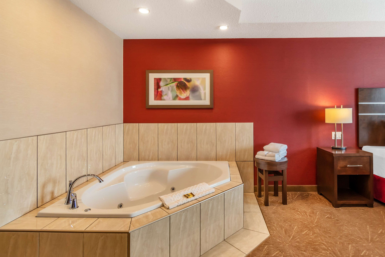 Bathroom 5, Best Western Plus Kindersley Hotel, Division No. 13