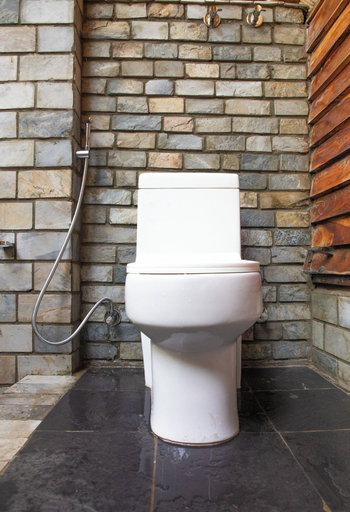Bathroom 4, Bagaicha Adventure Resort, Lumbini