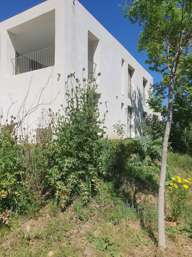 Exterior & Views 2, Villa Blanche, Bouches-du-Rhône