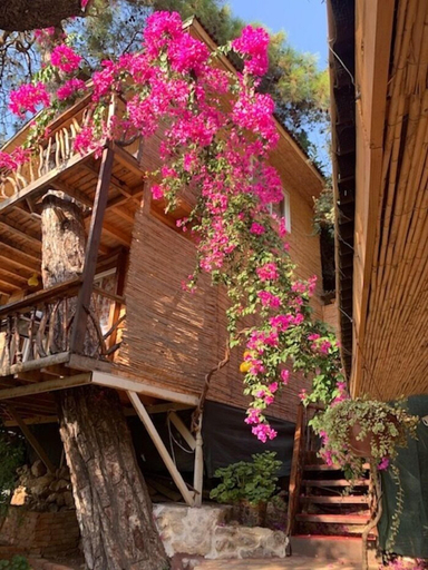 Exterior & Views 2, Turan Hill Lounge, Fethiye