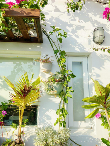 Others 5, South home, Pingtung