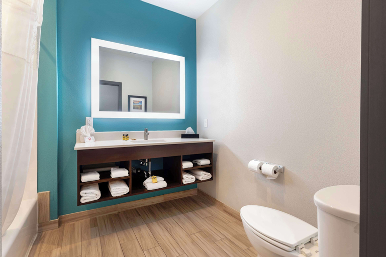 Bathroom 5, Best Western Plus Medical Center, Potter