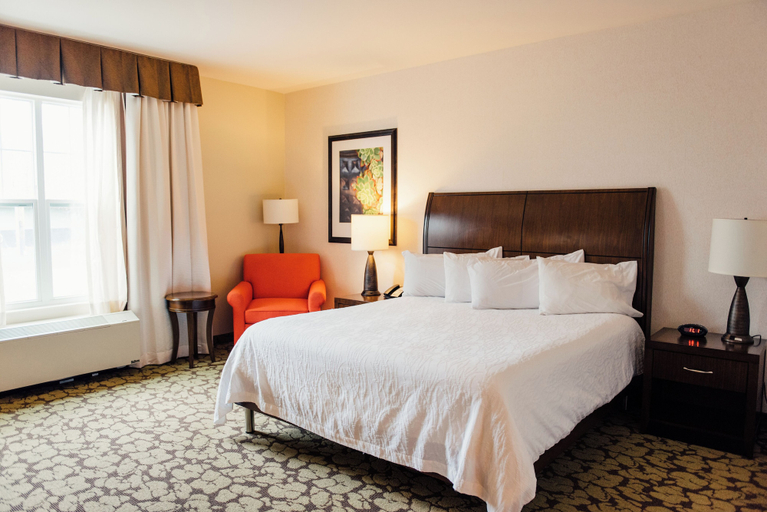 Bedroom 3, Hilton Garden Inn Auburn, Cayuga