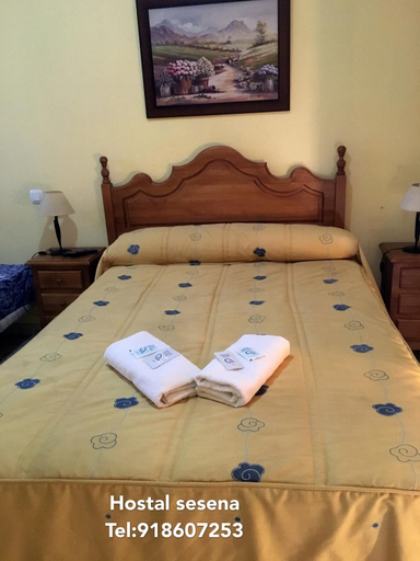 Others 4, Hostal Sesena, Toledo