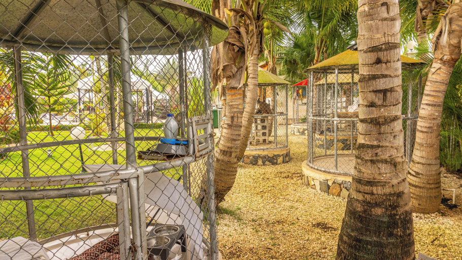 Others 4, Brunei Hotel Boutique, Boca Chica