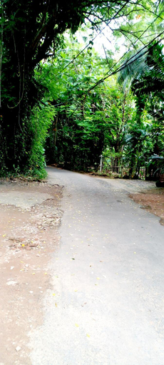 Others 2, Green Heaven Villa, Hikkaduwa