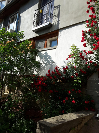 Others 4, Diana Guesthouse, Veliko Tarnovo