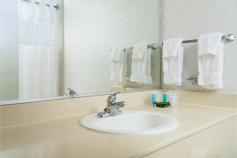 Bathroom 4, MCM Eleganté Hotel & Conference Center Beaumont, Jefferson