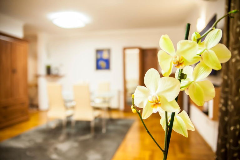 Others 5, Business Class Apartment, Cluj-napoca