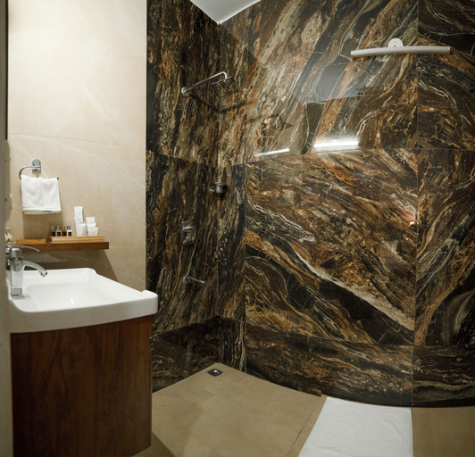 Bathroom 3, Firebrick Garnet House, Gurgaon