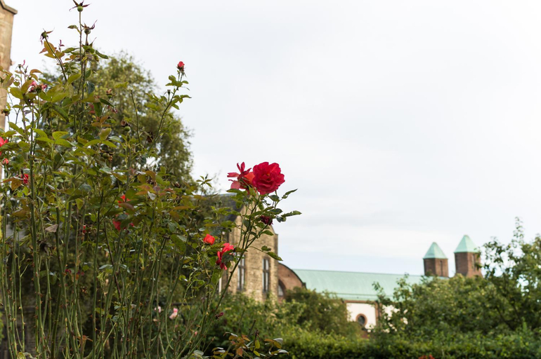 Others 3, Mirfield Monastery B&B, Kirklees