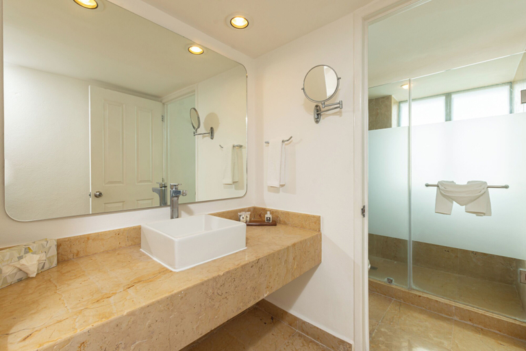 Bathroom 3, Tesoro Ixtapa All Inclusive, José Azueta