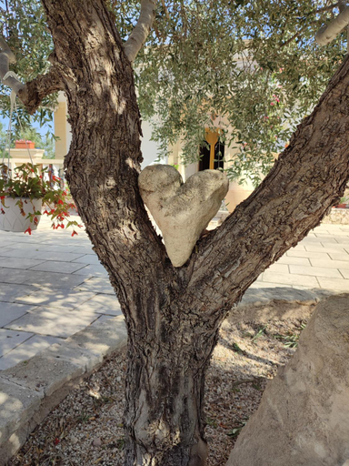 Others 4, Le Anfore del Salento Bed and Breakfast, Taranto