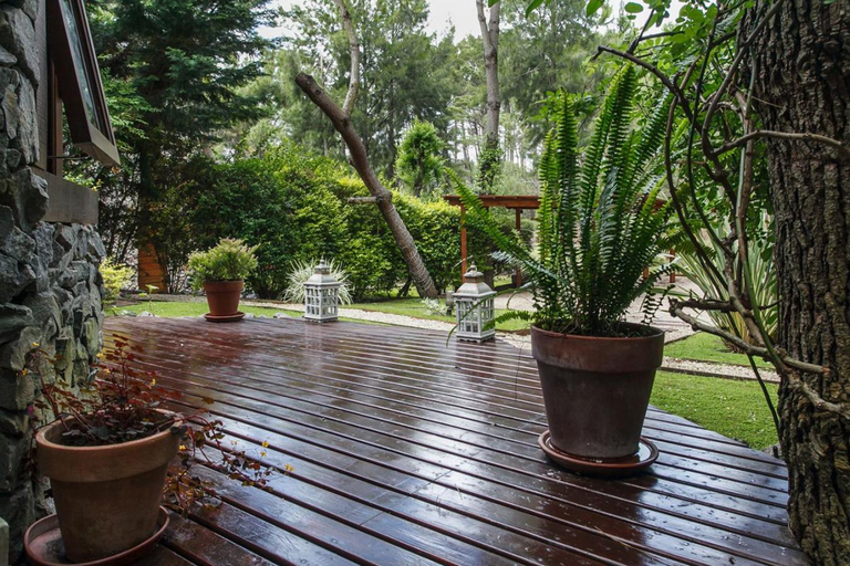 Others 3, Cabanas La Mandragora, Villa Gesell
