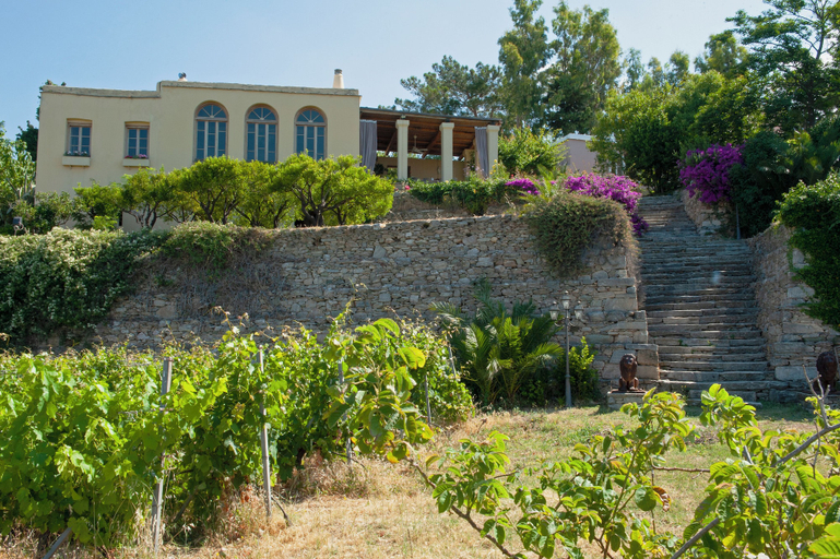 Exterior & Views 2, Montofoli Wine Estate, Central Greece