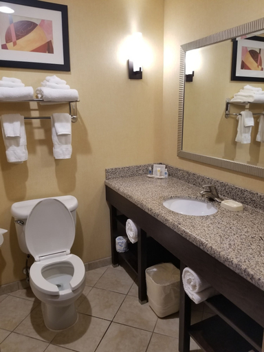 Bathroom 4, Comfort Suites Charleston West Ashley, Charleston