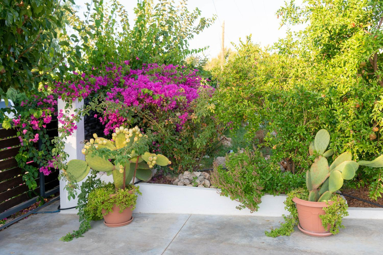 Entrance 5, Luxury Suites in Stavromenos, Crete