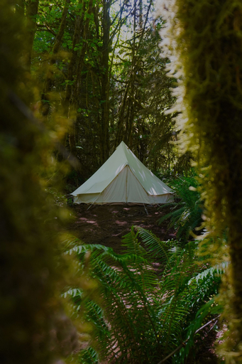 Olympic Glamping, Clallam