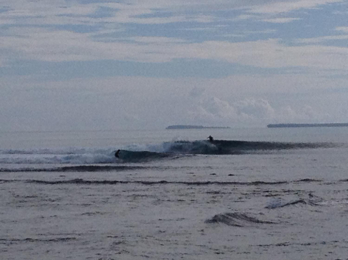 Others 5, Masokut Surf Camp Siberut E"bay 1 minute walking Beng-Beng 5 minute walking,Pitstop 10 minute walkin, Kepulauan Mentawai