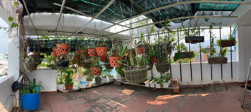 Others 5, XAM HOUSE HOSTEL, Qui Nhơn