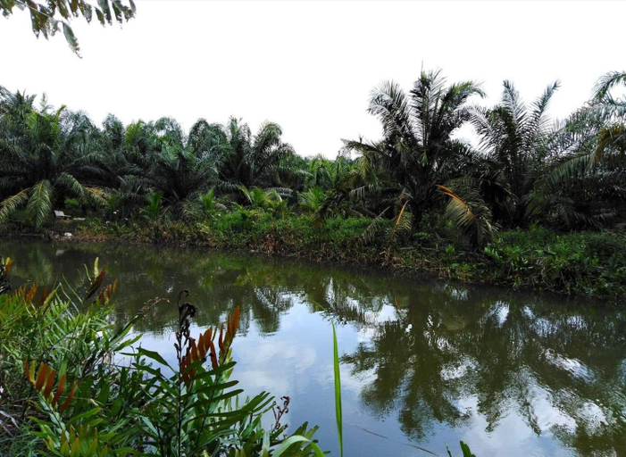 Others 5, Krasom Homestay, Takua Thung