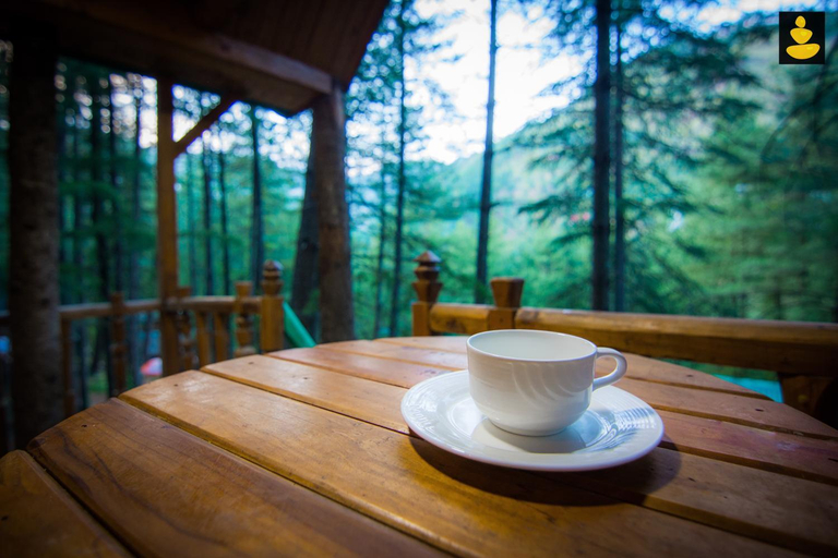 Food and beverages 3, LivingStone Ojuven Treehouses, Shimla