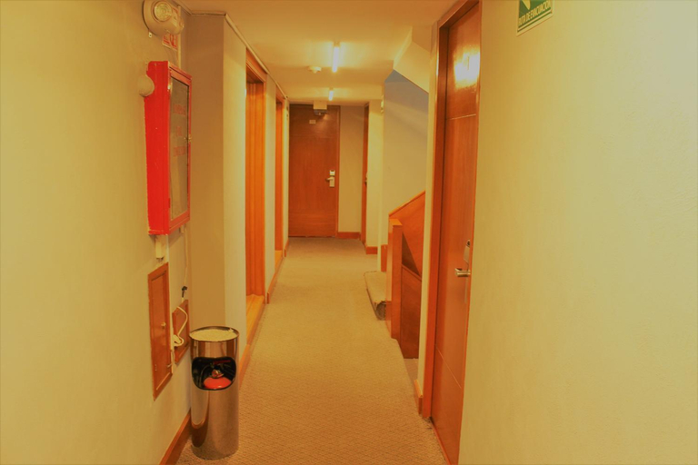Others 4, Condesa Suites, Mexico City