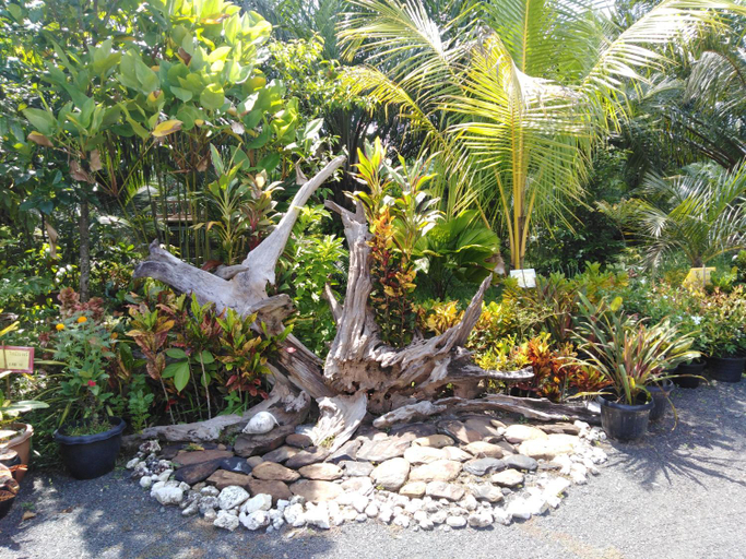 Others 4, Krasom Homestay, Takua Thung