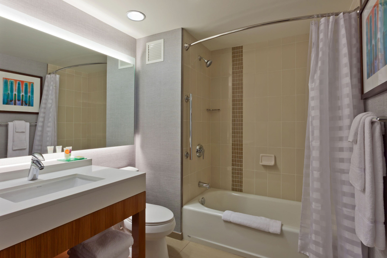 Bathroom 4, Hyatt Place Chicago/River North, Cook