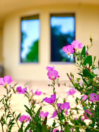 Others 2, Armonia Corfu Luxury Apartment, Ionian Islands