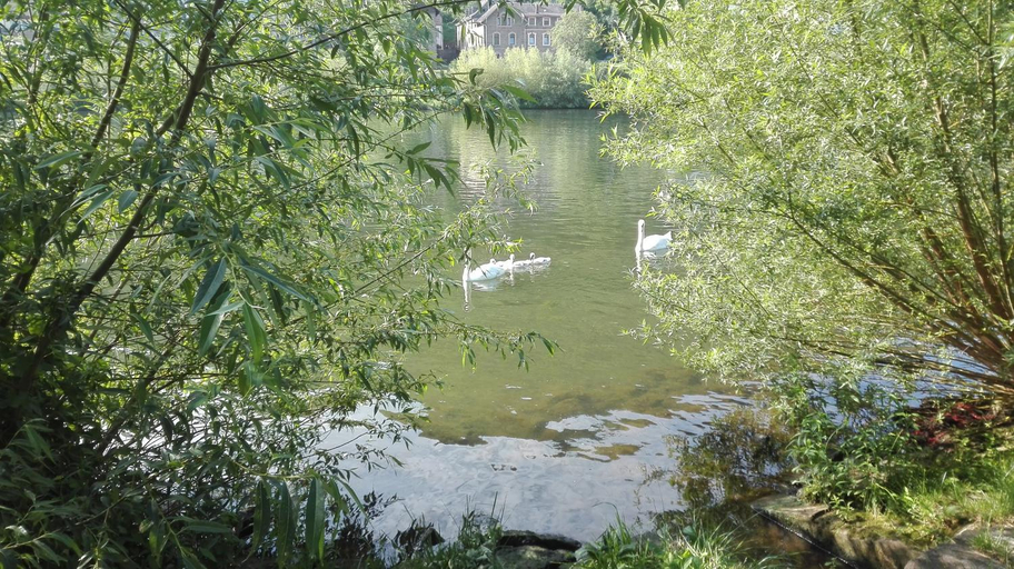 Others 3, Hotel Alt Cues, Bernkastel-Wittlich