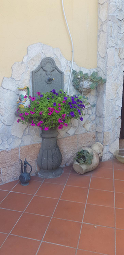 Others 4, B&B Girasole, Roma