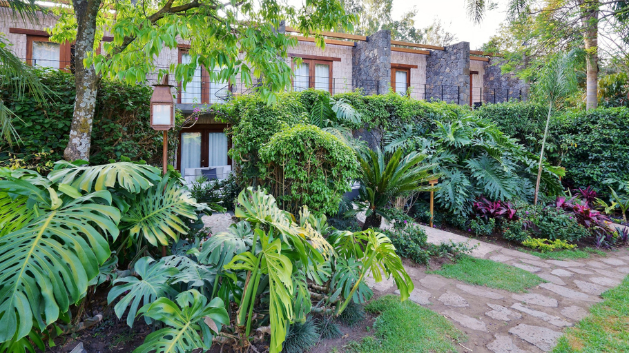 Exterior & Views 2, Amomoxtli, Tepoztlán