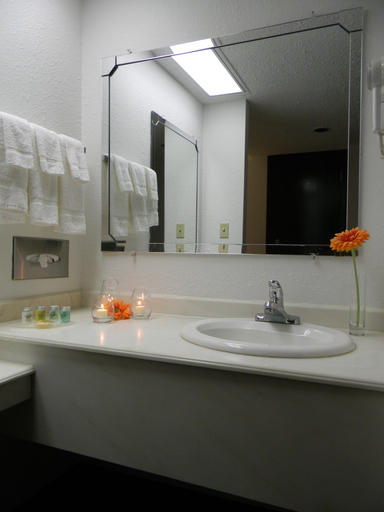 Bathroom 4, Garden Hotel and Conference Center, Winnebago
