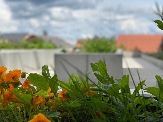 Others 3, Berdorfer Eck - Bed&Breakfast, Echternach