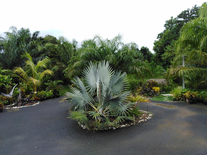 Others 5, Krasom Homestay, Takua Thung