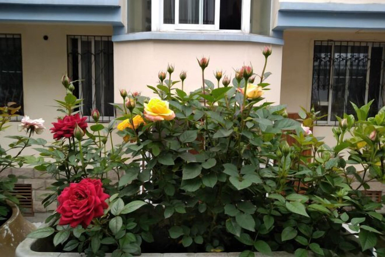 Exterior & Views 2, Awuka Guesthouse, Hangzhou