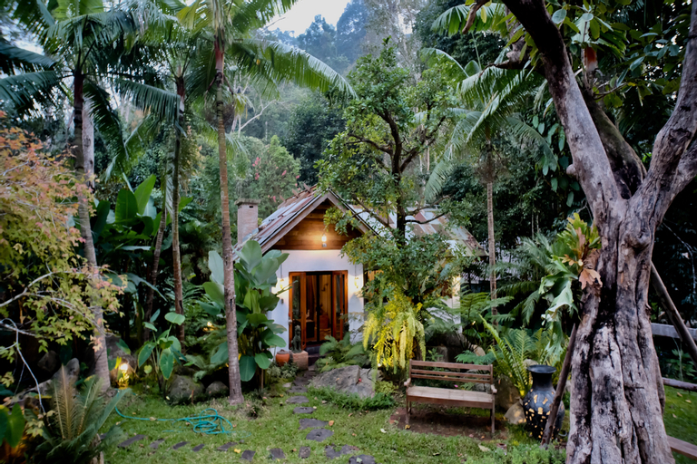 Scenery 19