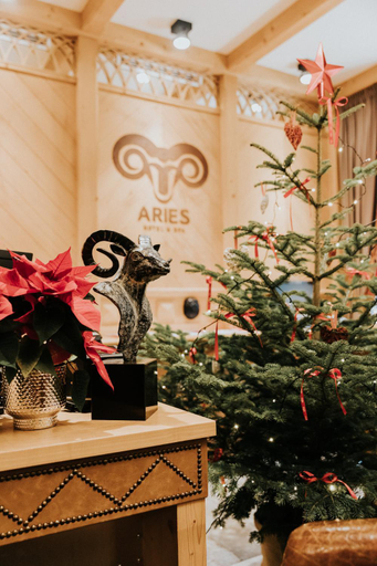 Public Area 4, Aries Hotel & SPA Wisla, Cieszyn