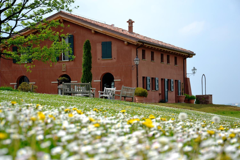 B&B Ca Bianca dell'Abbadessa, Bologna