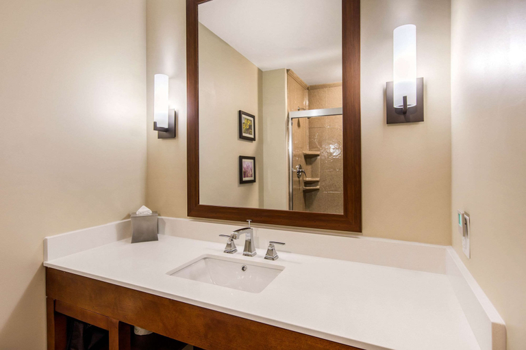 Bathroom 4, Comfort Suites Liberal North, Seward