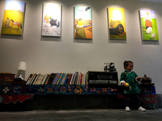 Public Area 3, Fengma Feiyang Hostel, Lhasa