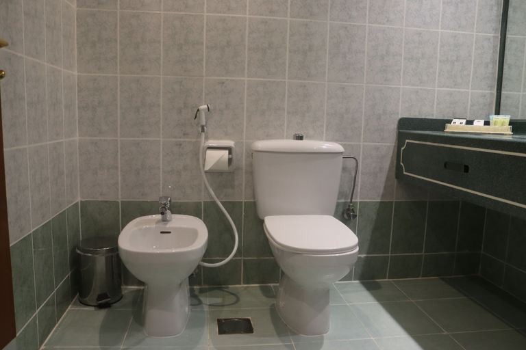 Bathroom 3, GSS Avenue Hotel, Dubai