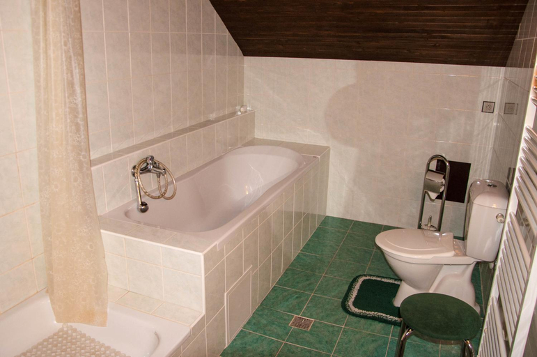 Others 2, Privat - Harrachov 392, Semily